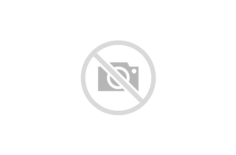 2026 Cruise Lite 261BHXL